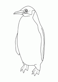 pinguim002