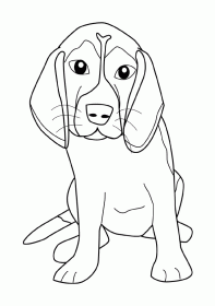 beagle001