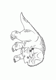 triceratops003