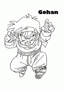 gohan-001