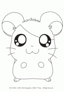 hamtaro-006