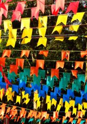 papeis-digitais-datas-junina-1papacaio-2025-08