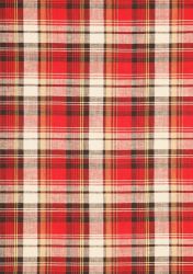 papeis-digitais-datas-junina-1papacaio-2025-17