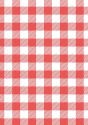 papeis-digitais-datas-junina-1papacaio-2025-18