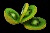 kiwi-002