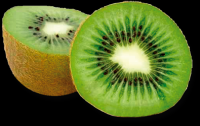 kiwi-003