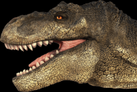 T-Rex-cabeca-22-001