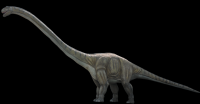 dinossauro-22-007