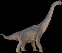 dinossauro-22-011