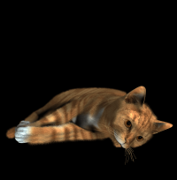 gato-listrado-png-transparentes-001