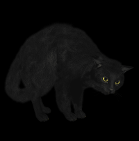 gato-preto-png-transparente-001