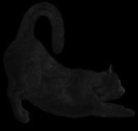 gato-preto-png-transparente-004