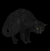 gato-preto-png-transparente-013