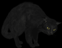 gato-preto-png-transparente-015