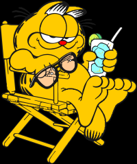 garfield-praia-000