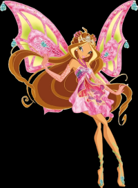 winx-2113