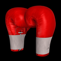 boxe-025