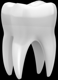 dente-3d-001