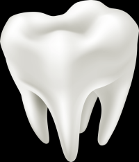 dente-3d-002