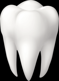 dente-3d-003