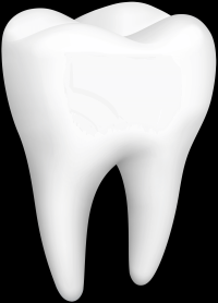 dente-3d-004