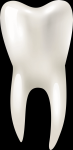 dente-3d-005