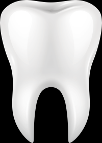 dente-3d-006