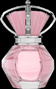 frasco-perfume-sem-marca-013