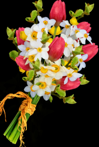 bouquet-flores-009