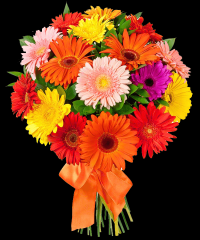 bouquet-flores-039