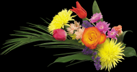 bouquet-flores-044