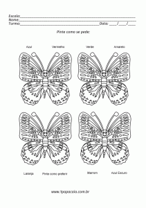 cores-variadas-borboletas