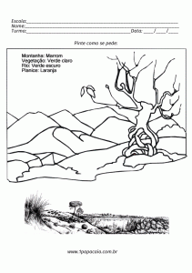 montanha-vegetacao-rio-planice