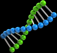 dna-1papacaio-005