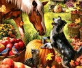 Animais Aves