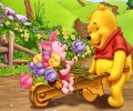 Pooh